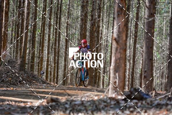 Buy your photos of the event16� Edi��o Maratona 100Km Canaviais on Fotop