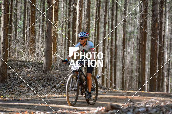 Buy your photos of the event16� Edi��o Maratona 100Km Canaviais on Fotop