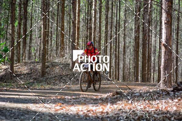 Buy your photos of the event16� Edi��o Maratona 100Km Canaviais on Fotop