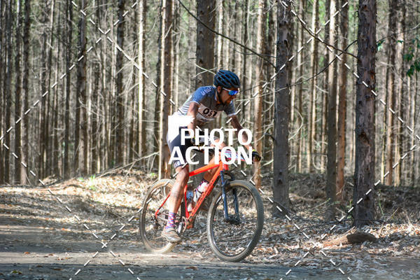 Buy your photos of the event16� Edi��o Maratona 100Km Canaviais on Fotop