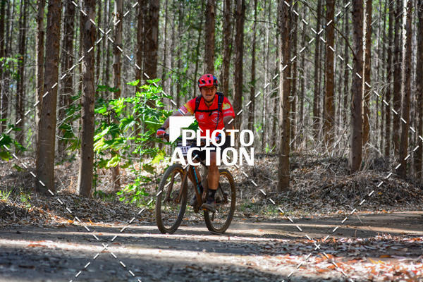 Buy your photos of the event16� Edi��o Maratona 100Km Canaviais on Fotop