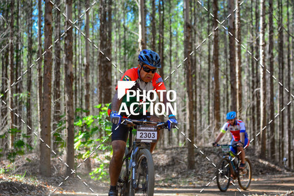 Buy your photos of the event16� Edi��o Maratona 100Km Canaviais on Fotop