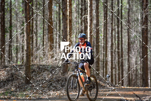 Buy your photos of the event16� Edi��o Maratona 100Km Canaviais on Fotop