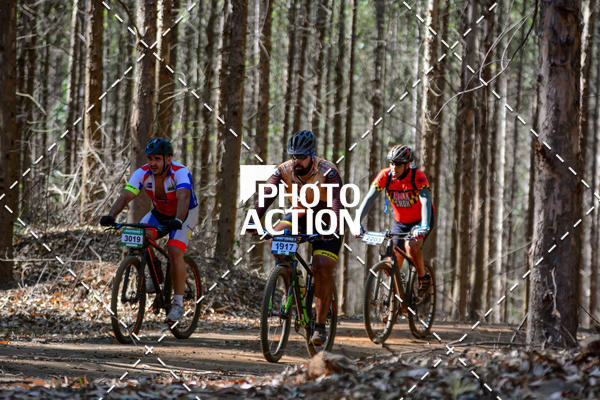 Buy your photos of the event16� Edi��o Maratona 100Km Canaviais on Fotop