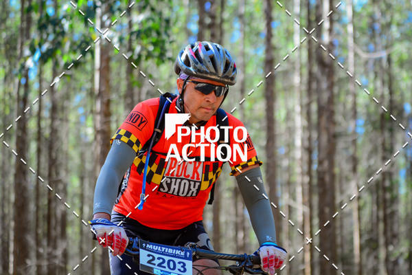 Buy your photos of the event16� Edi��o Maratona 100Km Canaviais on Fotop