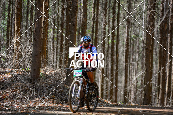 Buy your photos of the event16� Edi��o Maratona 100Km Canaviais on Fotop