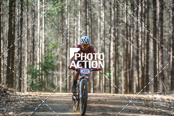 Buy your photos of the event16� Edi��o Maratona 100Km Canaviais on Fotop