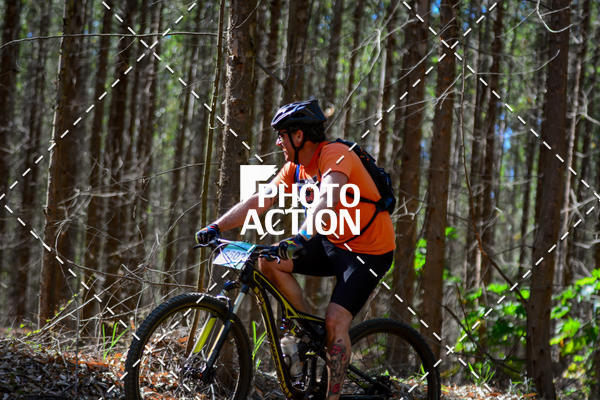 Buy your photos of the event16� Edi��o Maratona 100Km Canaviais on Fotop