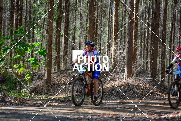 Buy your photos of the event16� Edi��o Maratona 100Km Canaviais on Fotop
