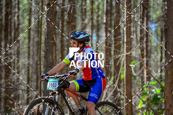 Buy your photos of the event16� Edi��o Maratona 100Km Canaviais on Fotop