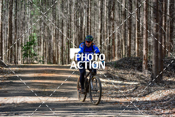 Buy your photos of the event16� Edi��o Maratona 100Km Canaviais on Fotop