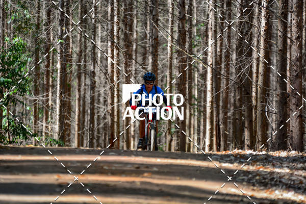 Buy your photos of the event16� Edi��o Maratona 100Km Canaviais on Fotop