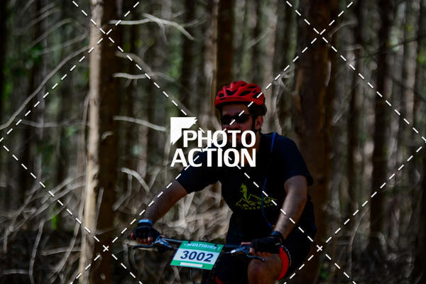 Buy your photos of the event16� Edi��o Maratona 100Km Canaviais on Fotop