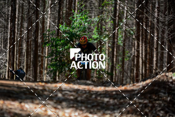 Buy your photos of the event16� Edi��o Maratona 100Km Canaviais on Fotop