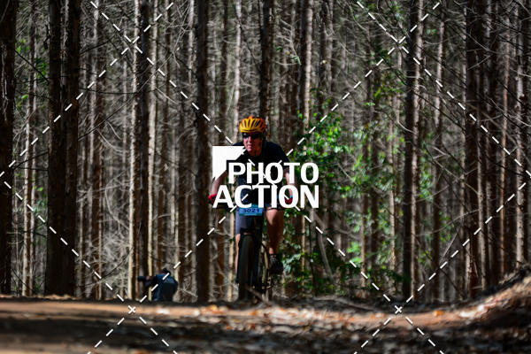 Buy your photos of the event16� Edi��o Maratona 100Km Canaviais on Fotop