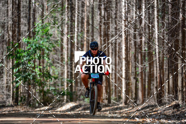 Buy your photos of the event16� Edi��o Maratona 100Km Canaviais on Fotop