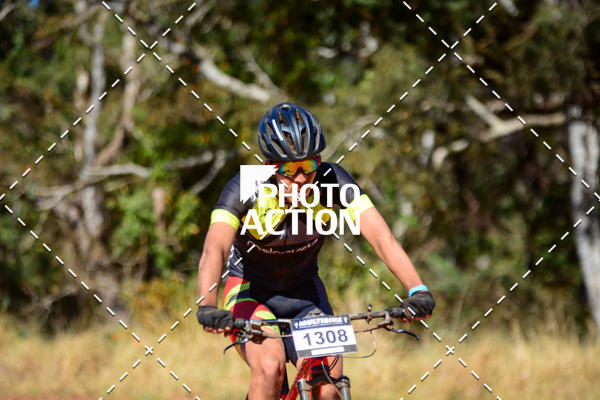 Buy your photos of the event16� Edi��o Maratona 100Km Canaviais on Fotop