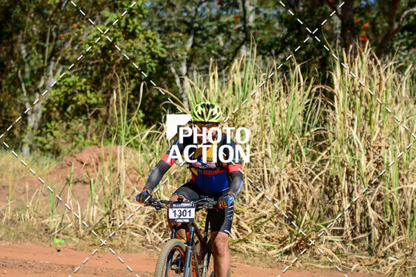 Buy your photos of the event16� Edi��o Maratona 100Km Canaviais on Fotop