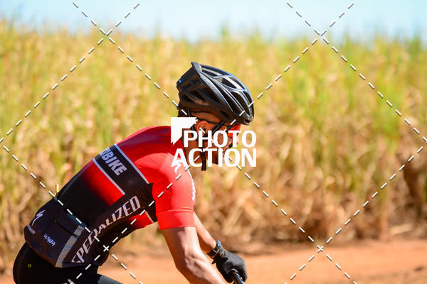 Buy your photos of the event16� Edi��o Maratona 100Km Canaviais on Fotop