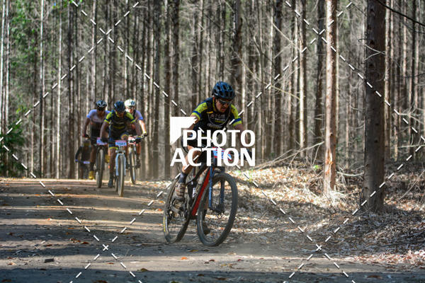 Buy your photos of the event16� Edi��o Maratona 100Km Canaviais on Fotop