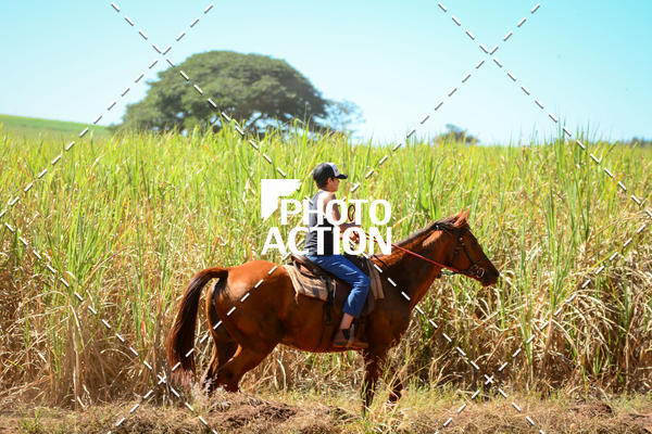 Buy your photos of the event16� Edi��o Maratona 100Km Canaviais on Fotop