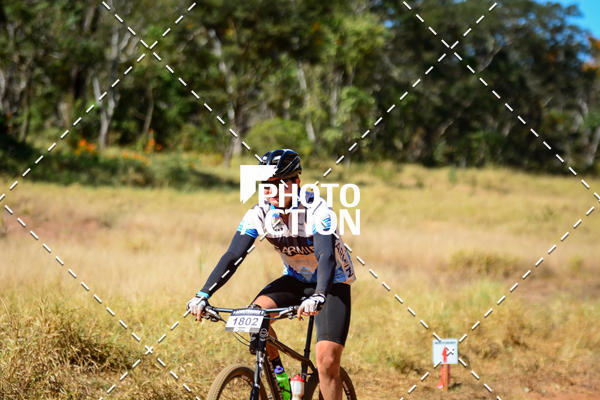 Buy your photos of the event16� Edi��o Maratona 100Km Canaviais on Fotop