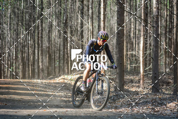 Buy your photos of the event16� Edi��o Maratona 100Km Canaviais on Fotop