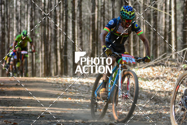 Buy your photos of the event16� Edi��o Maratona 100Km Canaviais on Fotop