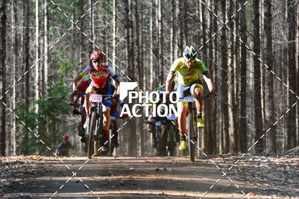 Buy your photos of the event16� Edi��o Maratona 100Km Canaviais on Fotop