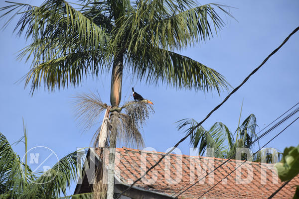 Buy your photos of the eventNR 1 Cl�ssico - 22 a 24/05/19 on Fotop