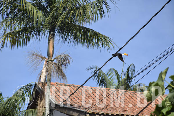 Buy your photos of the eventNR 1 Cl�ssico - 22 a 24/05/19 on Fotop