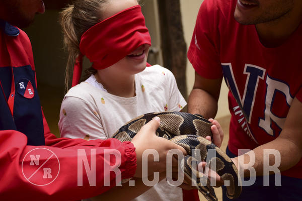 Buy your photos of the eventNR 1 Cl�ssico - 22 a 24/05/19 on Fotop