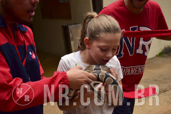 Buy your photos of the eventNR 1 Cl�ssico - 22 a 24/05/19 on Fotop