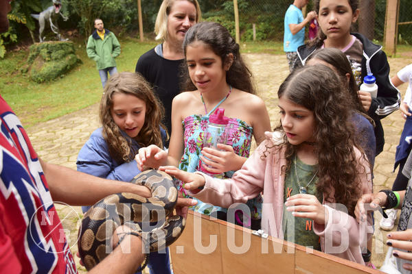 Buy your photos of the eventNR 1 Cl�ssico - 22 a 24/05/19 on Fotop