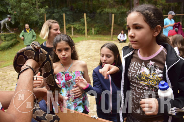 Buy your photos of the eventNR 1 Cl�ssico - 22 a 24/05/19 on Fotop