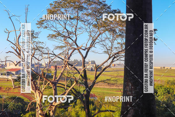 Compre suas fotos do eventoTreino Lets Run Girls - Limeira no Fotop