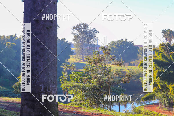 Compre suas fotos do eventoTreino Lets Run Girls - Limeira no Fotop