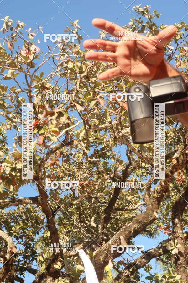 Buy your photos of the eventMeia Maratona So Jos de Anchieta  on Fotop