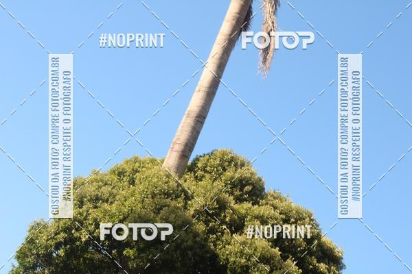 Buy your photos of the eventMeia Maratona So Jos de Anchieta  on Fotop