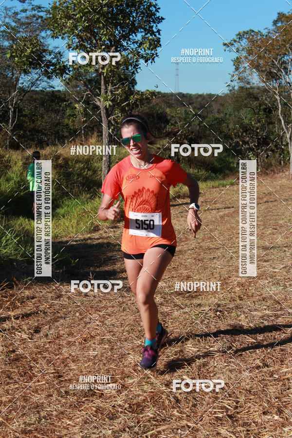Buy your photos of the eventApuana Trail Run - 5Km, 10Km, 15Km e Kids on Fotop