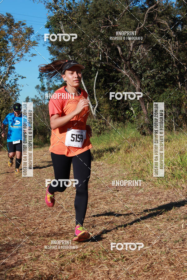Buy your photos of the eventApuana Trail Run - 5Km, 10Km, 15Km e Kids on Fotop