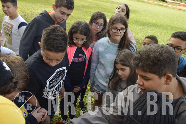 Buy your photos of the event NR1 - ENGLISH & ACTION - 24 A 26/05/19 on Fotop