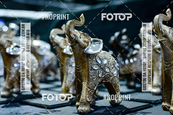 Acquista le foto dell'eventoWAR Muay Thai Fight (26/05/2019) in Fotop