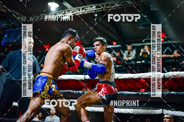 Acquista le foto dell'eventoWAR Muay Thai Fight (26/05/2019) in Fotop