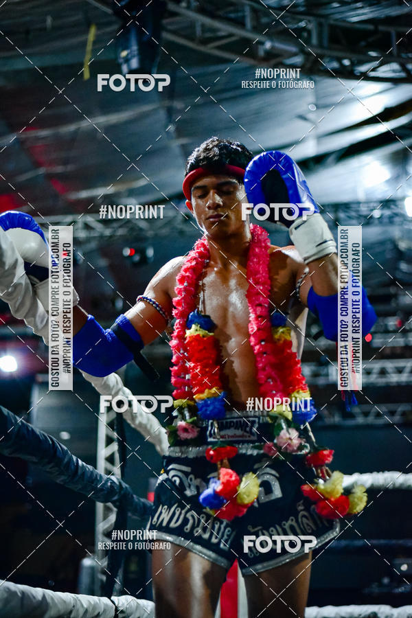 Acquista le foto dell'eventoWAR Muay Thai Fight (26/05/2019) in Fotop