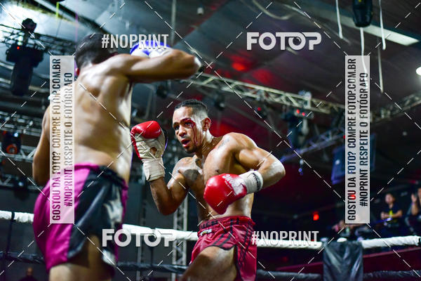 Acquista le foto dell'eventoWAR Muay Thai Fight (26/05/2019) in Fotop