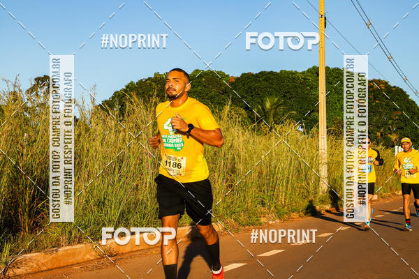 Buy your photos of the eventMEIA MARATONA DO CIOPAER VOANDO BAIXO on Fotop