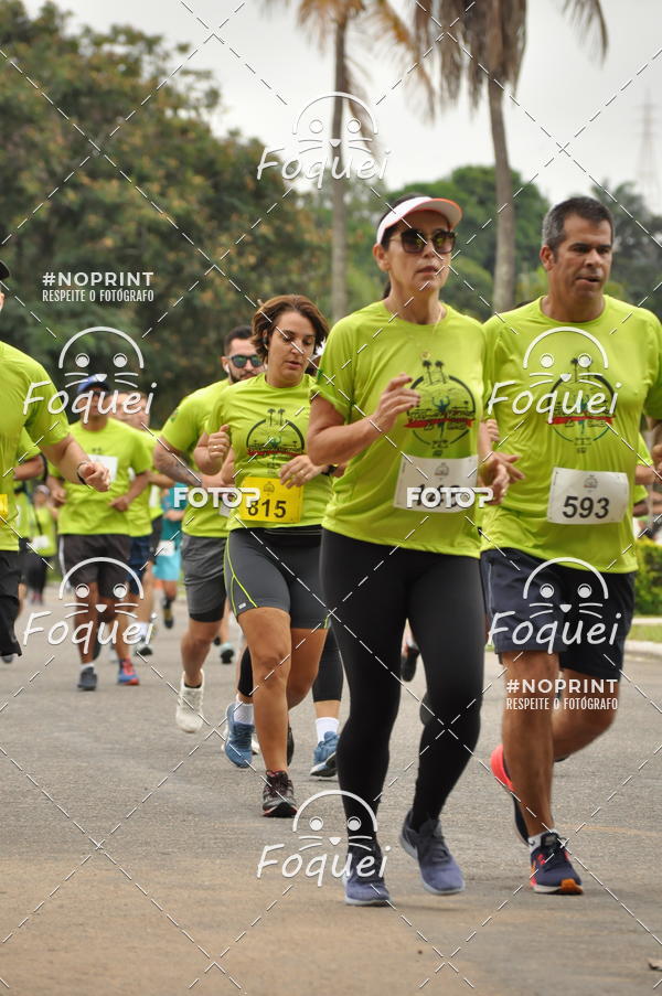 Buy your photos of the event3 Corrida Histrica da EAMES on Fotop