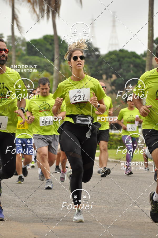Buy your photos of the event3 Corrida Histrica da EAMES on Fotop