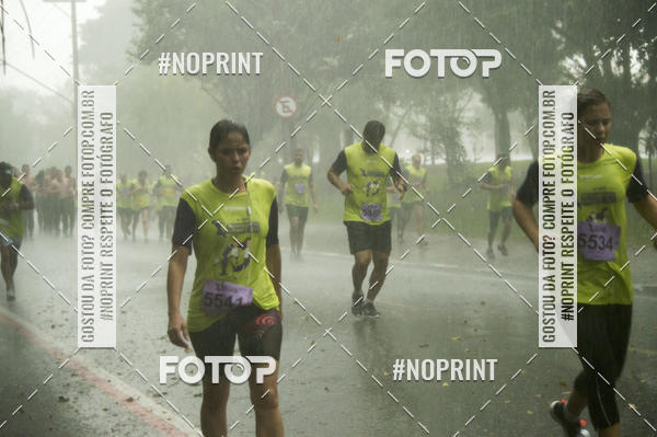 Buy your photos of the eventMovimento Unimed 2019 on Fotop